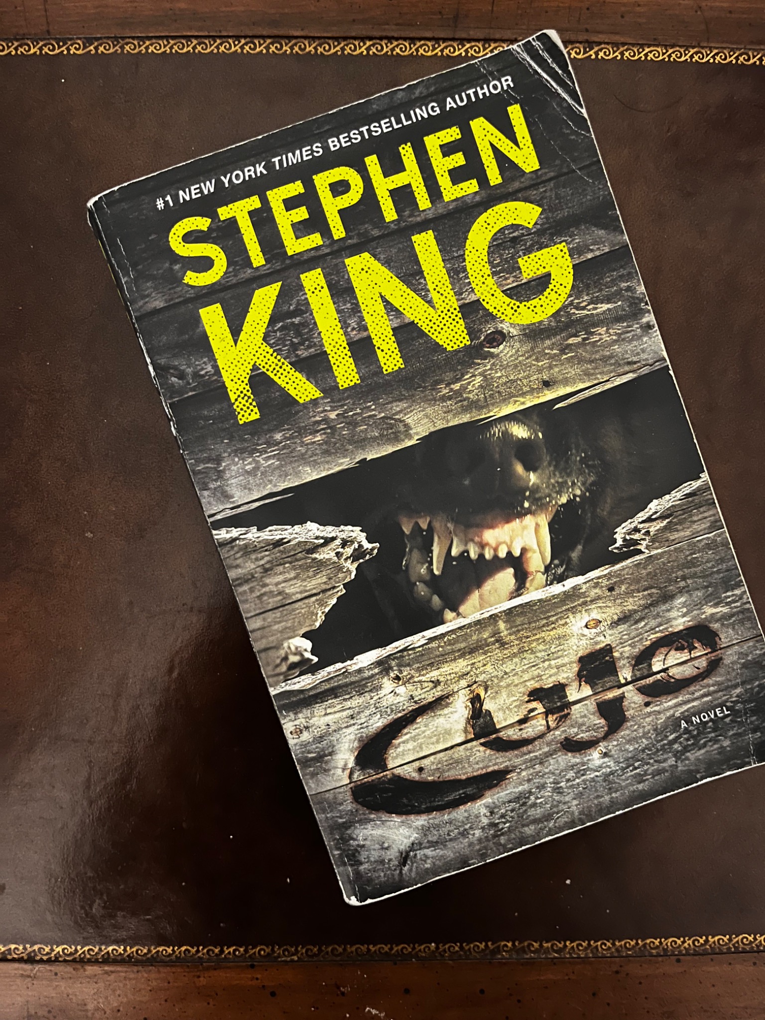 A later edition of Stephen King's Cujo, photographed by Gabriel Tait in September 2024.